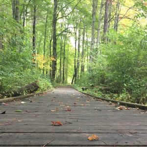 Meet your Posher, Linda